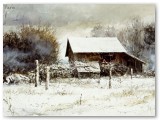 025-Fox Hollow Farm