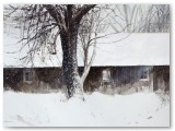 040-Christenens Winter