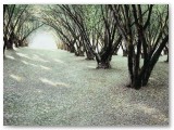 041-Sanctuary
