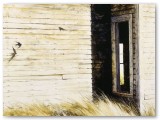 065-Home Again