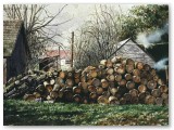 073-Woodcutter's Farm