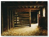 080-Empty Stall