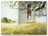 083-August Afternoon