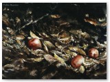 085-Fallen Beauties
