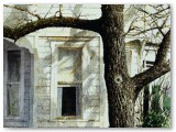 088-Halsey Homestead