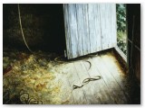 095-Hideaway