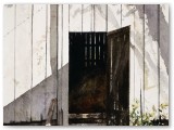 096-Shadowplay