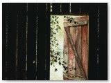097-Pennsylvania Creeper