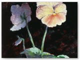 101-Antique Pansy-1