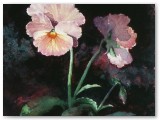 103-Antque Pansy-3