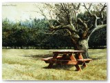 108-November Picnic